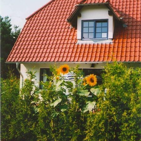 Apartmán Lindenstr_32B Zingst Exteriér fotografie