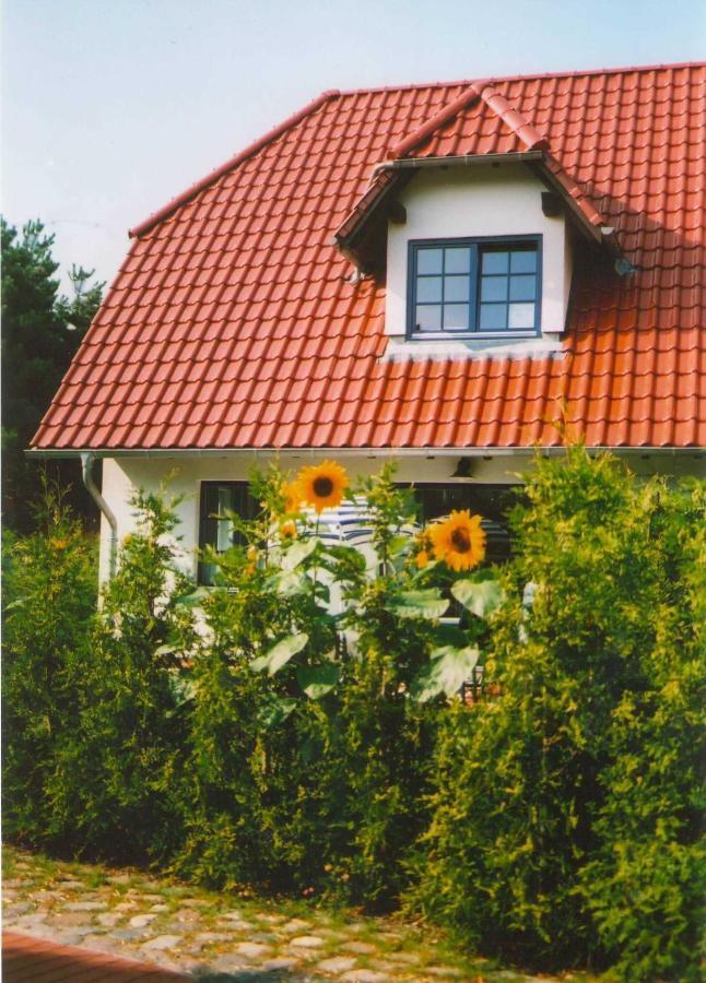 Apartmán Lindenstr_32B Zingst Exteriér fotografie